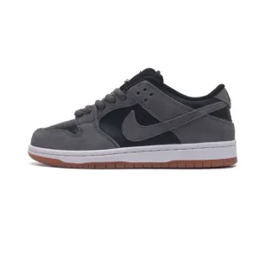 Nike SB Dunk Low Pro Retro Skateboarding Shoes